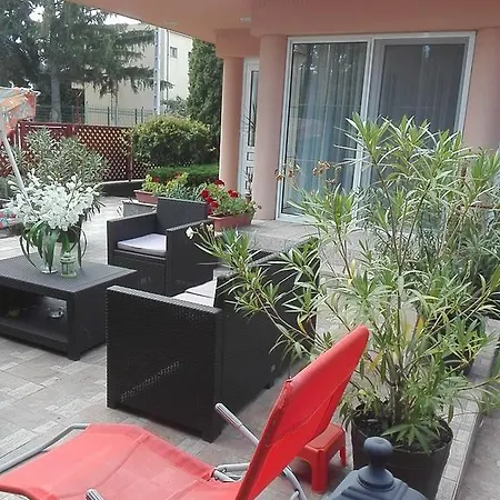 Bokreta Ueduelo 4*