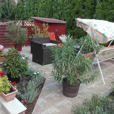 Bokreta Ueduelo Mezokovesd
