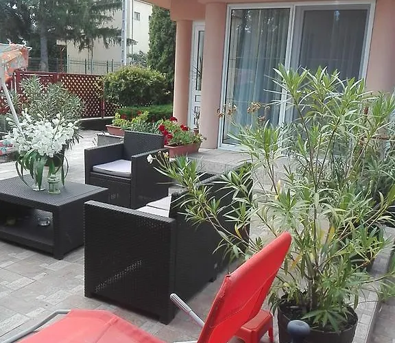 Bokreta Ueduelo 2*
