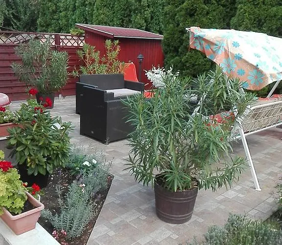 Bokreta Ueduelo Mezőkövesd